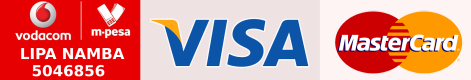visa-logo-png-2026-1 (1)